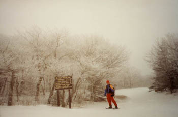 snowshoeing on Greylock with Ben