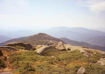 Algonquin Peak, 1999