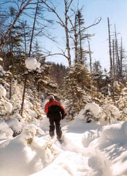 snowshoeing to Couchsacraga with Liam