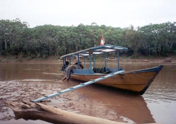 motor canoe