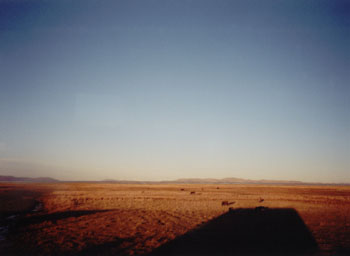 evening sun on the altiplano - long bus ride, Peru