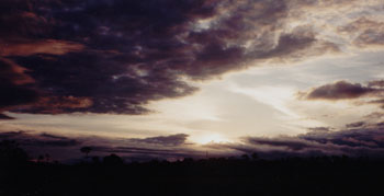 dusk in the rainforest; still on the bus