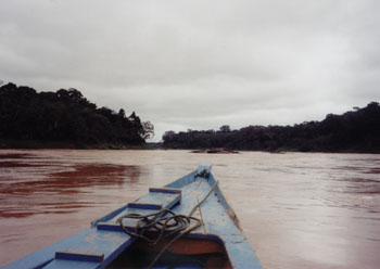 my boat headed upriver on the Tambopata