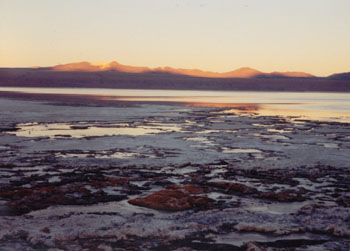 salt deposits at a lagoon