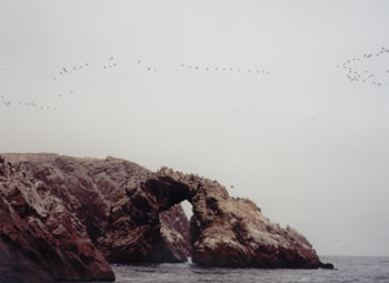 sea arch with birds, of Pisco, Peru