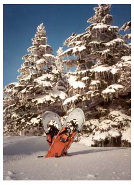 my snowshoes, atop Mt. Greylock