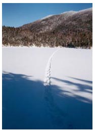 our tracks across the lake