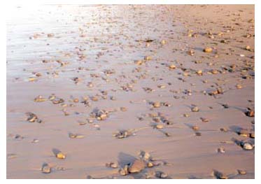 beach pebbles