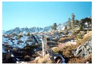 climbing into Baldy bowl