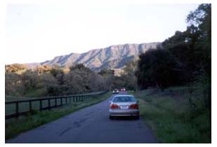 pretty back road