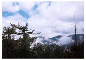 Angeles Crest hwy. hiking