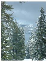 yosemite view, by francis