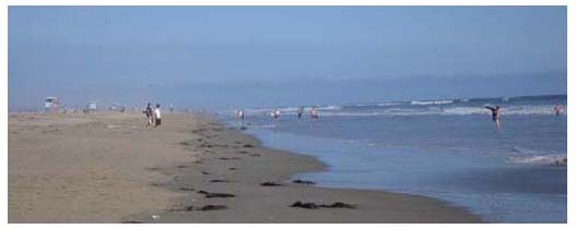 the quintessential southern California beach