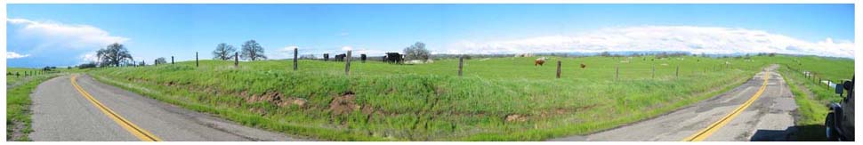 cow country panorama, by sean