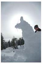 snow Dragon, by berto