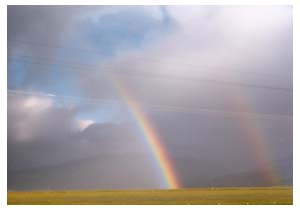 rainbow by the grapevine