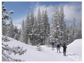 donner peak trailhead