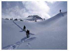 doug atop a cornice