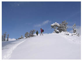 snowshoeing