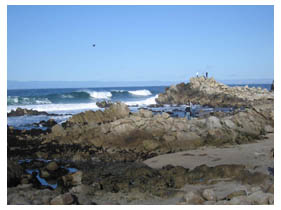 Waves in Pacific Grove, CA