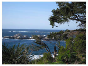 California shore along Hwy 1