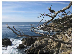 Pebble Beach, CA