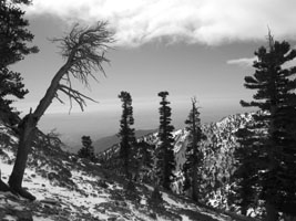 Mt. Baldy winter hike