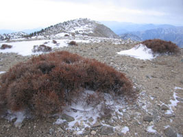 Mt. Baldy summit looking west