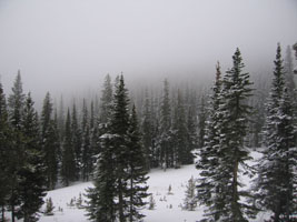 snowy morning in Rocky Mountain National Park