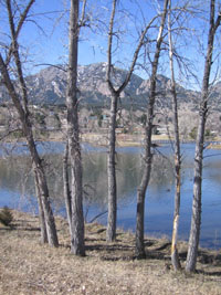 park in Boulder, Colorado