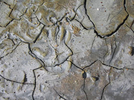 wet clay in Lassen National Park - photo by Doug Johnston