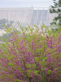 Shasta Dam, California