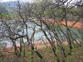 hiking at Shasta Lake, California