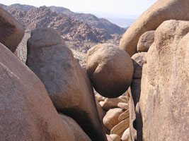 The Rock. Joshua Tree