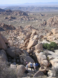 at the rock, Joshua Tree