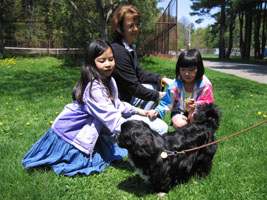 Molly, Robin, and Leia