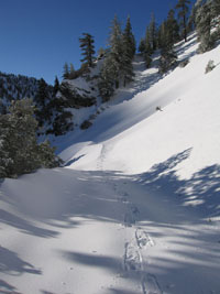 my snowshoe tracks at Mt. Baldy