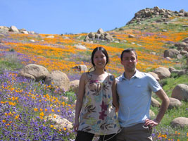 wildflowers near Lake Elsinore, California