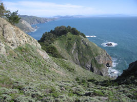 Muir Beach overlook