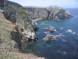 cathedral cove, Anacapa Island, California