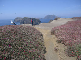 approaching inspiration point, Anacapa Island, California