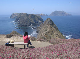 we had the place all to ourselves - Inspiration Point, Anacapa Island, California