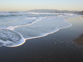 first light on the foam at Ocean Beach, San Francisco