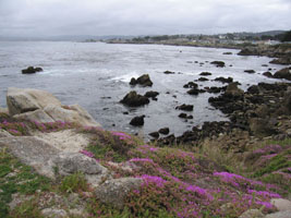 rocky shore, Pacifica CA