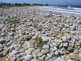 Pebble Beach, CA