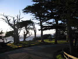 17-mile drive at Pebble Beach