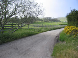 someone's driveway