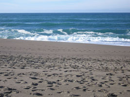 Point Reyes beach