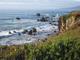 Sonoma Coast