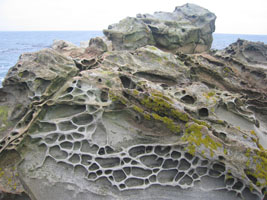 honeycomb sandstone at Timber Cove